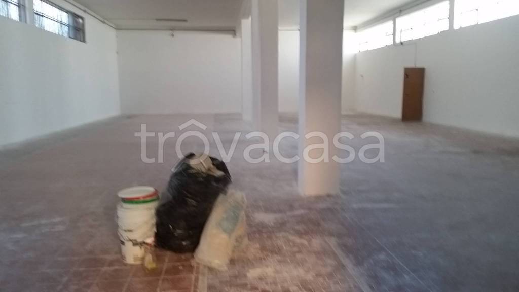 immagine annuncio 9 di 14