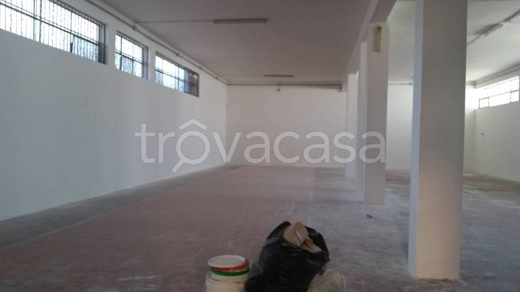 immagine annuncio 12 di 14