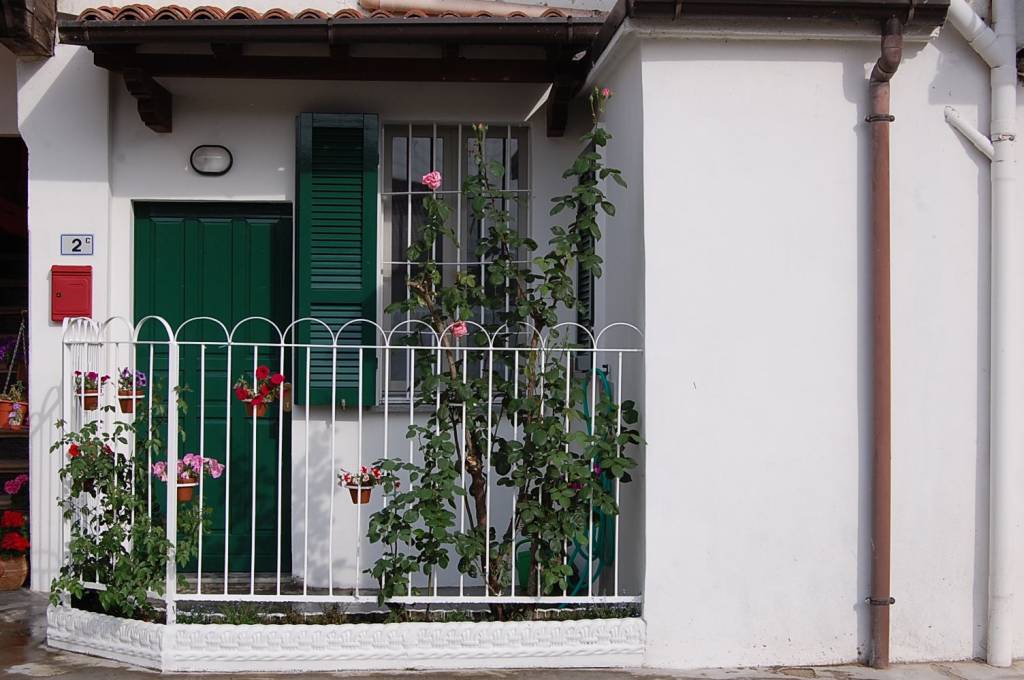immagine annuncio 10 di 13