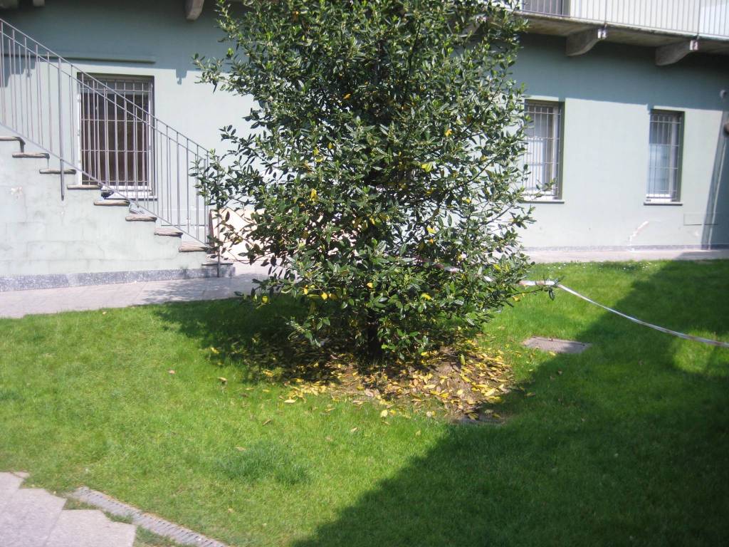 immagine annuncio 7 di 8