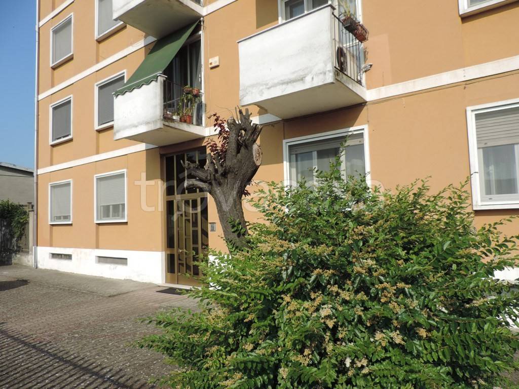 immagine annuncio 13 di 14