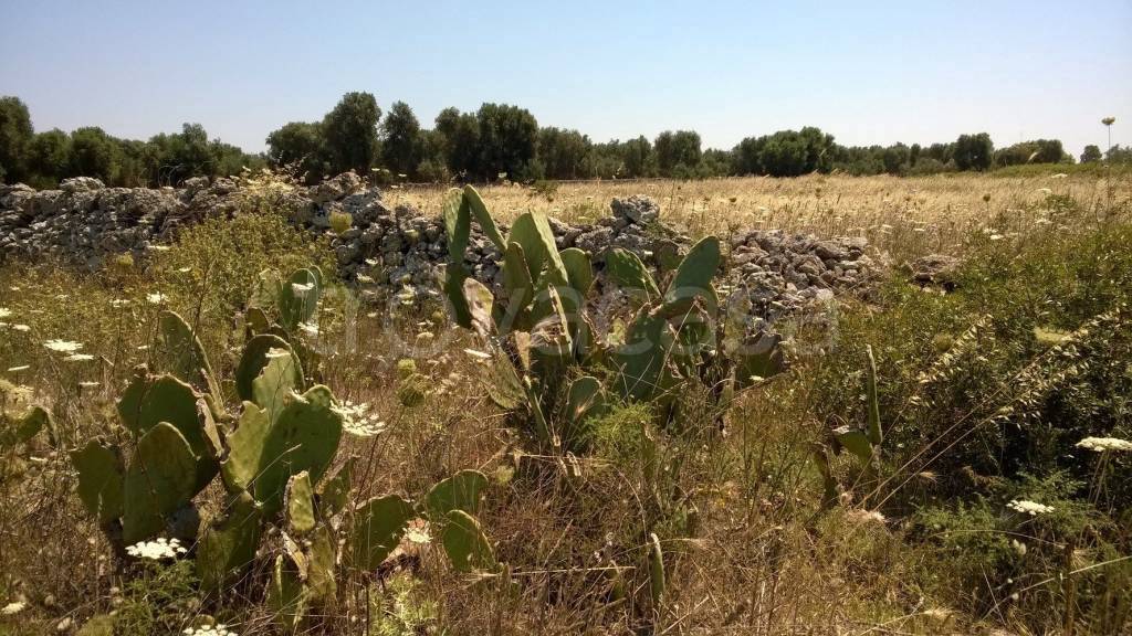 immagine annuncio 6 di 12