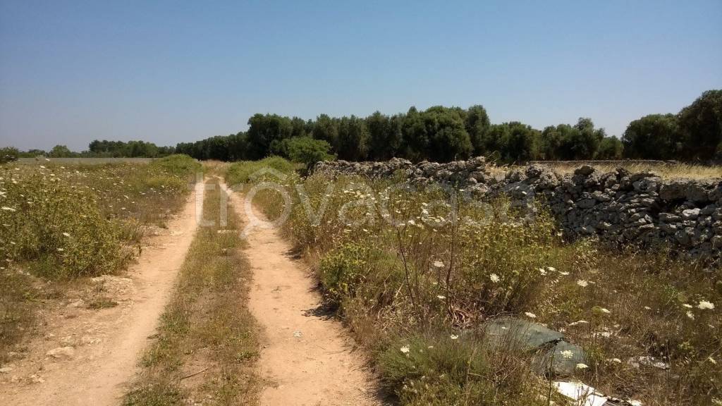 immagine annuncio 8 di 12