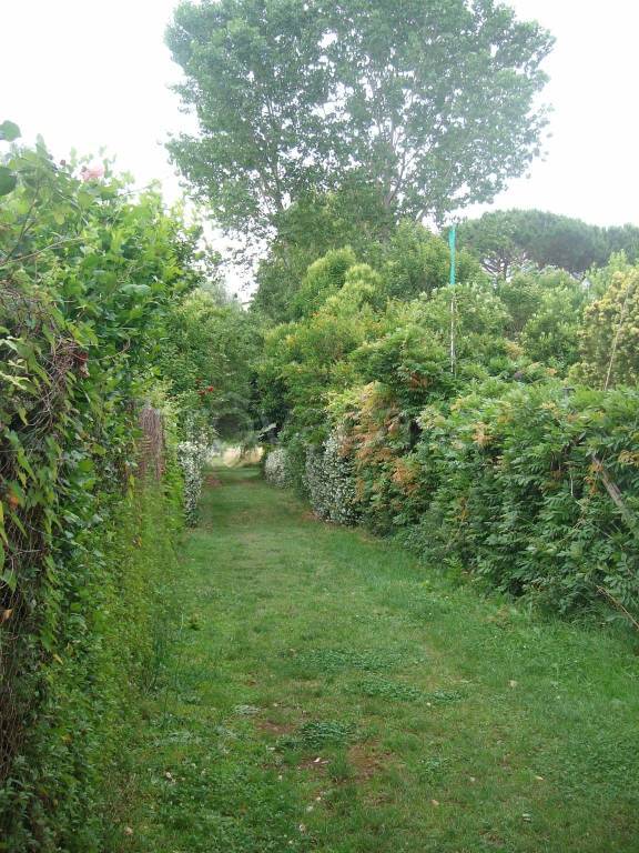 immagine annuncio 2 di 6