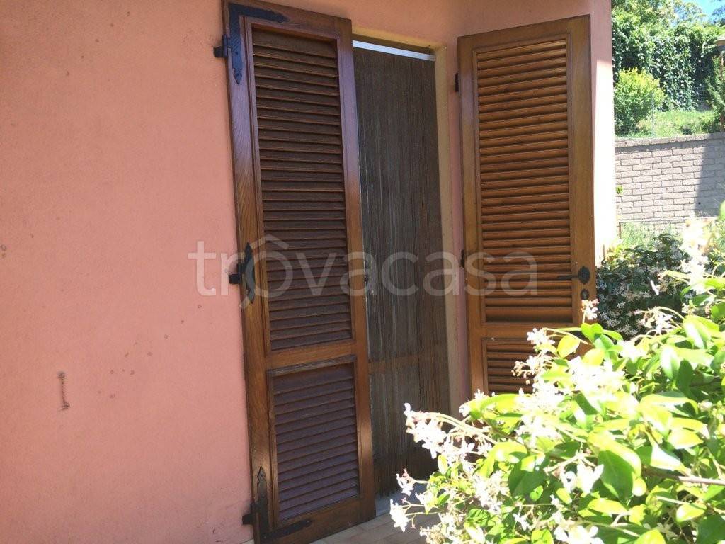 immagine annuncio 8 di 11