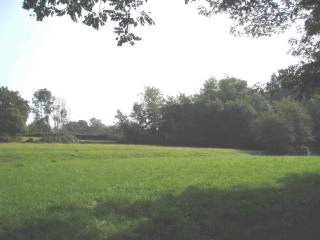 Terreno agricolo in vendita a brebbia via cavour, 36