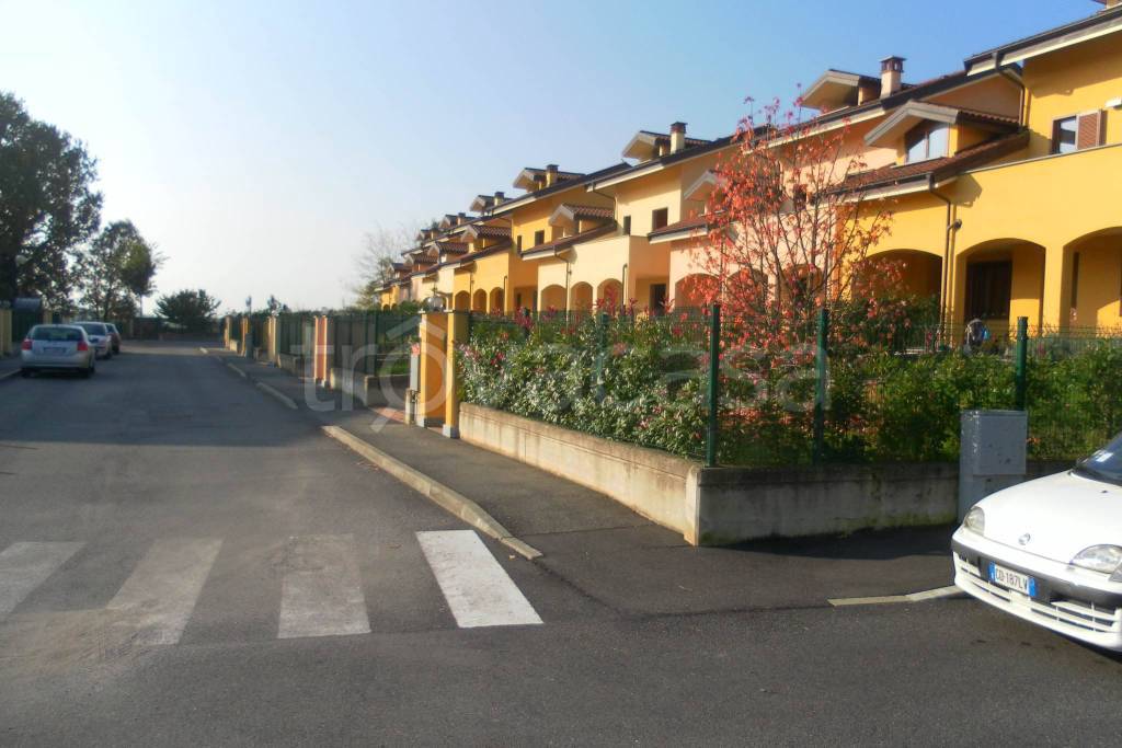 immagine annuncio 1 di 15