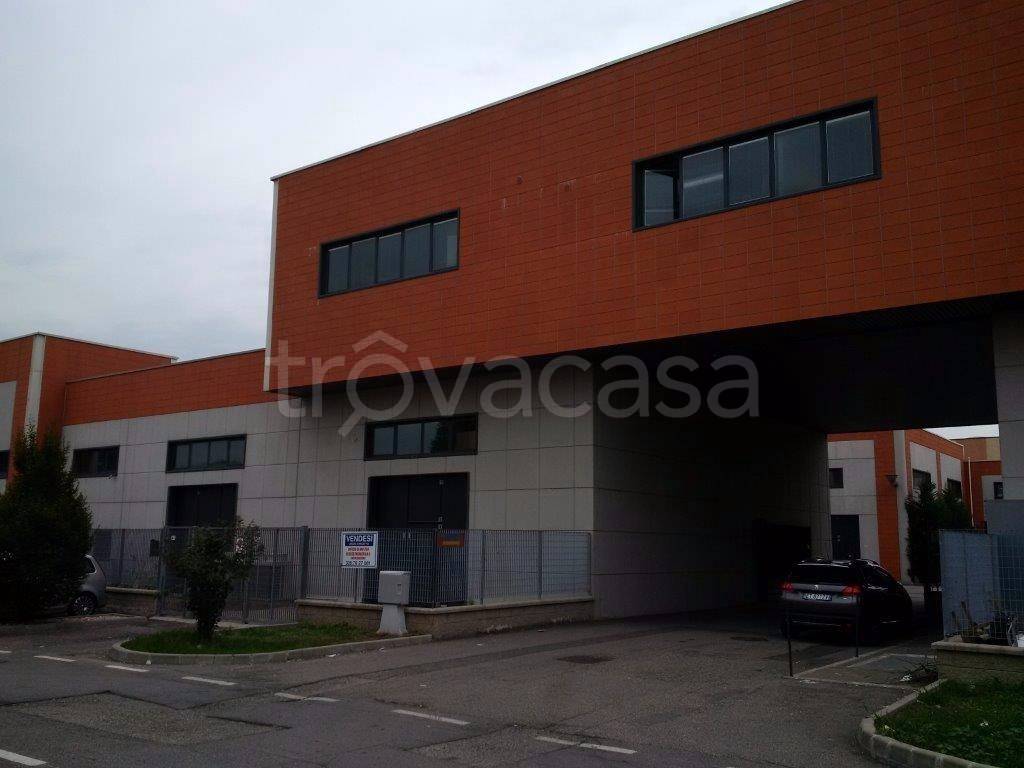 immagine annuncio 4 di 8