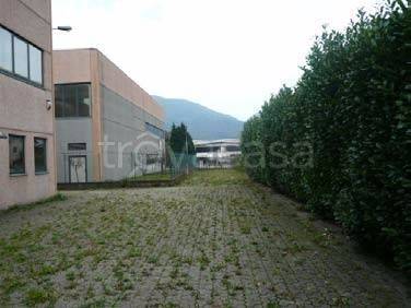 immagine annuncio 2 di 8