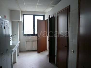 immagine annuncio 7 di 8
