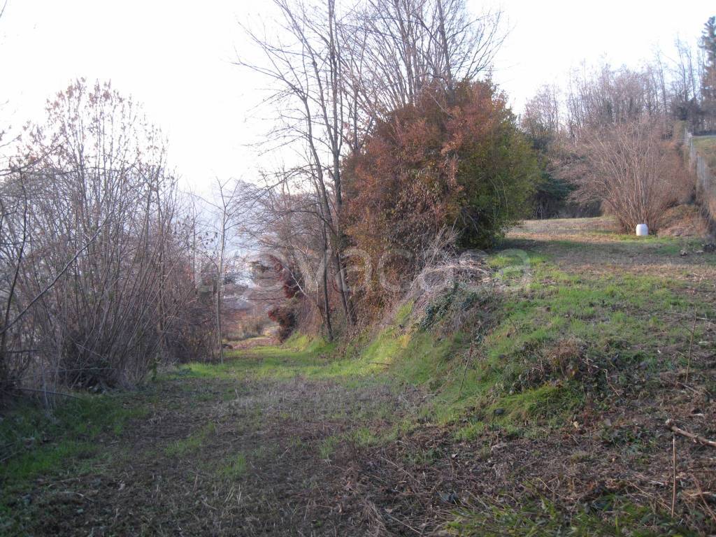Terreno Agricolo in vendita a Romagnano Sesia