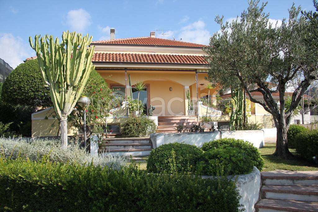 Villa in vendita a Belvedere Marittimo via Petrellis, 16