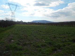 Terreno agricolo in vendita a quarto via cupa monteleone