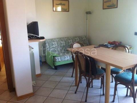 immagine annuncio 7 di 8