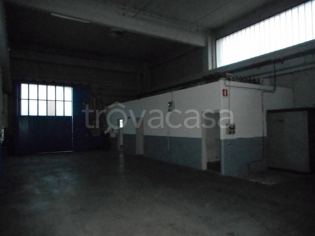 immagine annuncio 3 di 11