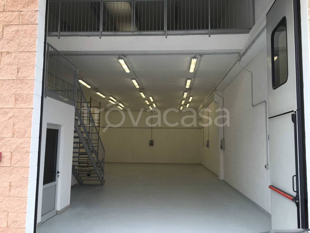 immagine annuncio 2 di 11