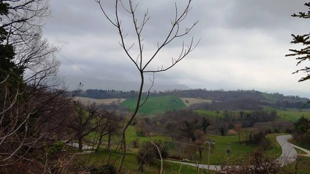 immagine annuncio 5 di 12