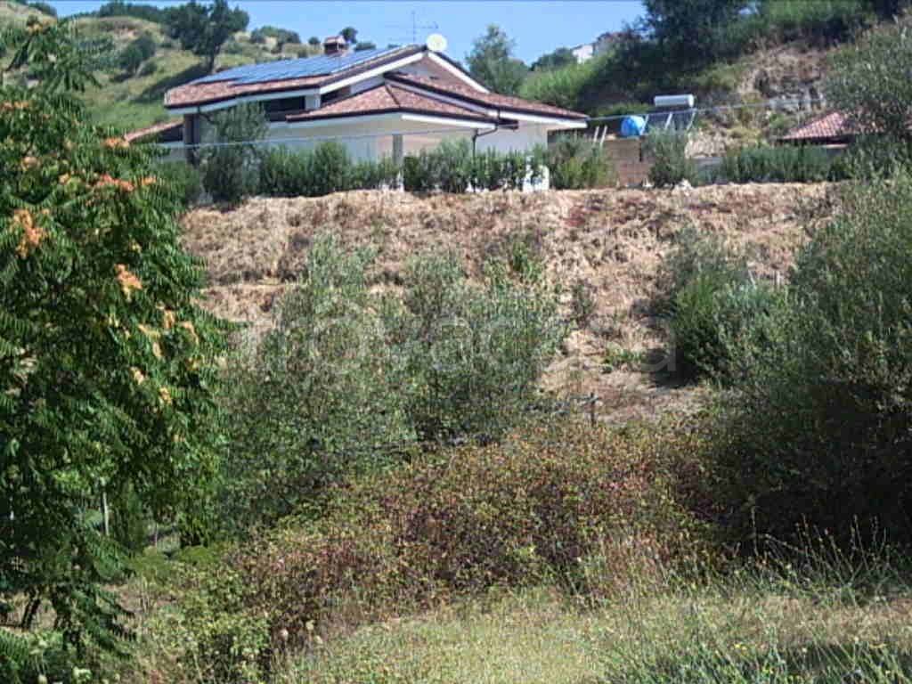 Terreno Agricolo in vendita a Bisignano contrada Vritta, 15