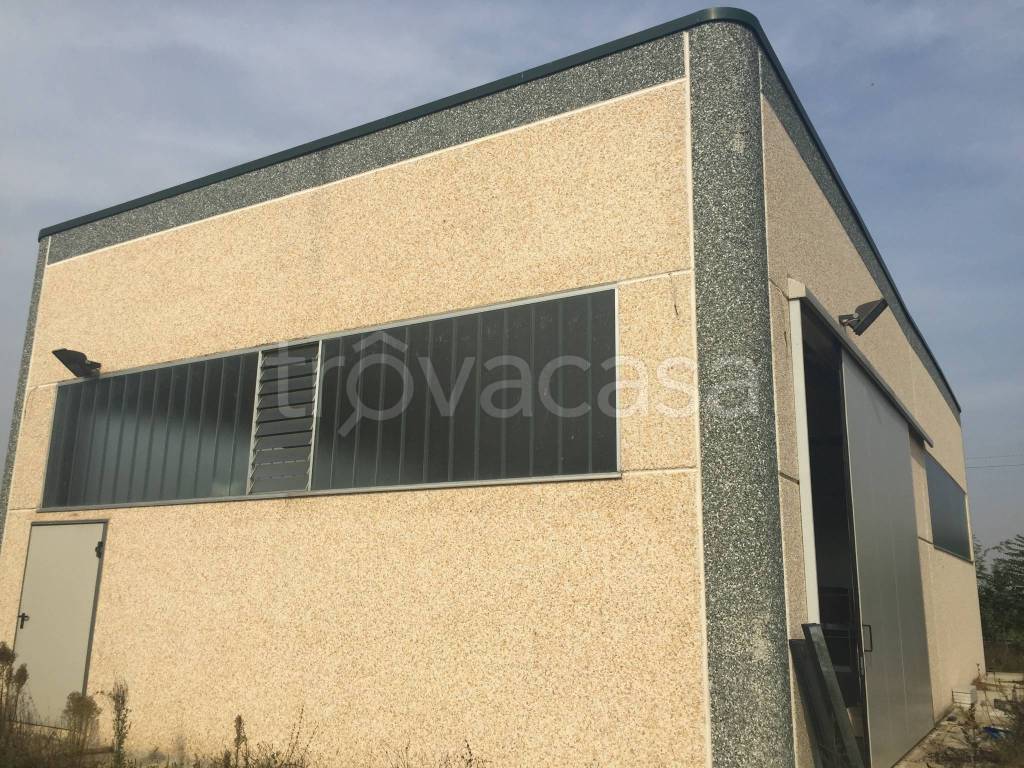 immagine annuncio 3 di 6