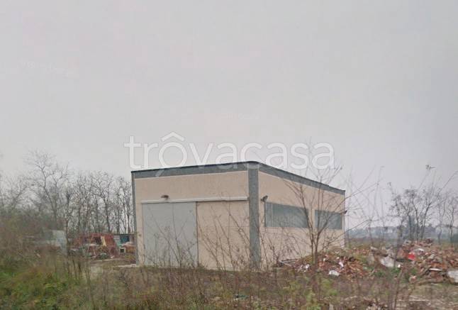 immagine annuncio 4 di 6