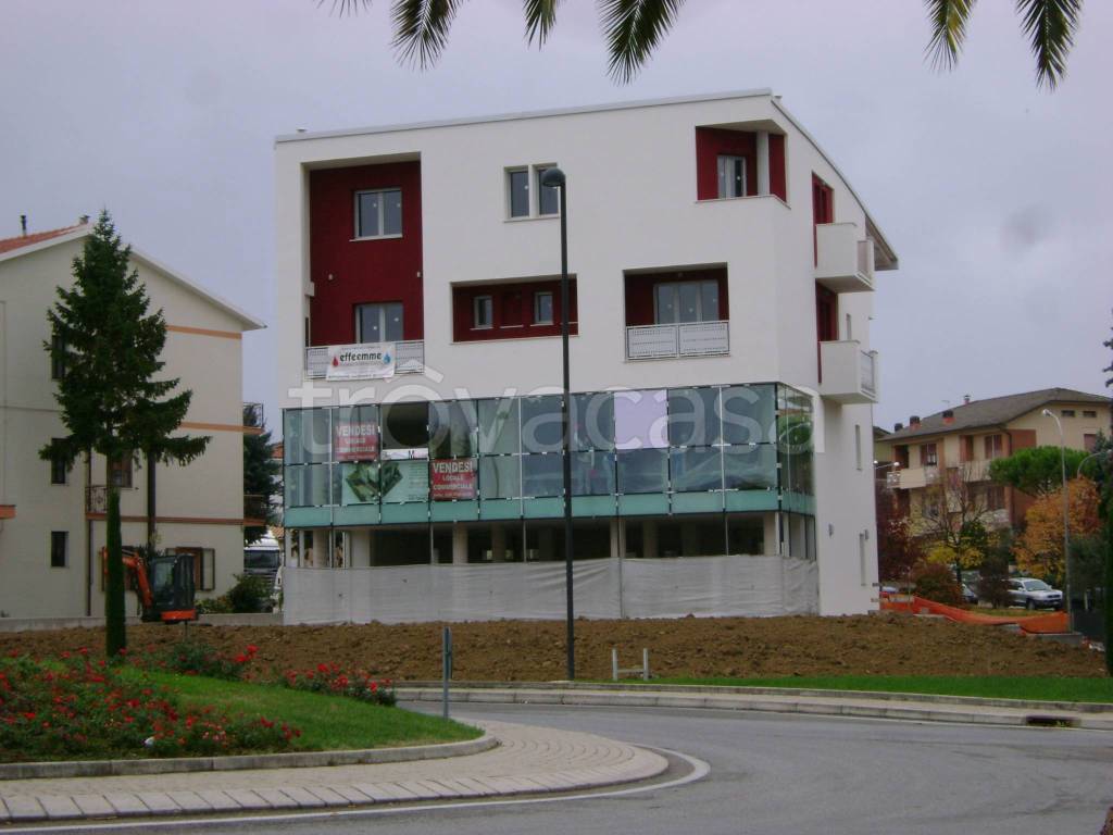 immagine annuncio 9 di 14