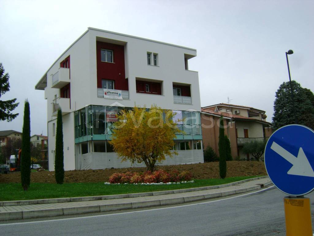 immagine annuncio 12 di 14