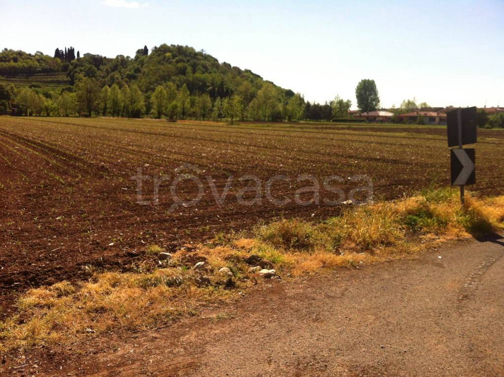 Terreno Agricolo in vendita a Rezzato via Molinetto