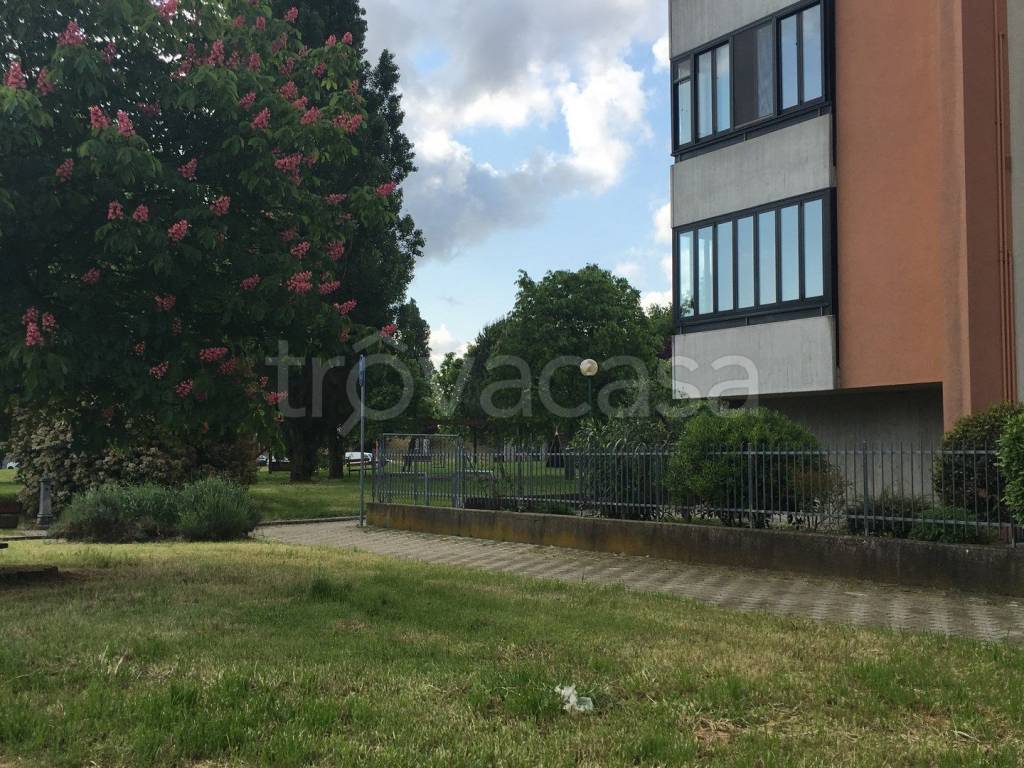 immagine annuncio 1 di 2