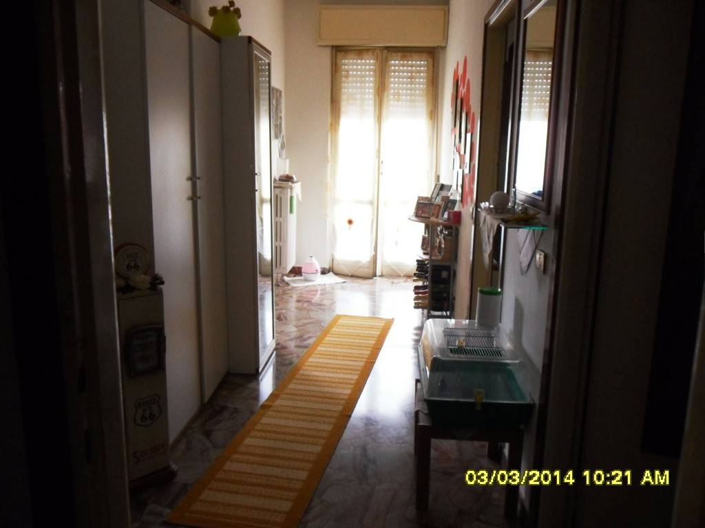 immagine annuncio 13 di 14