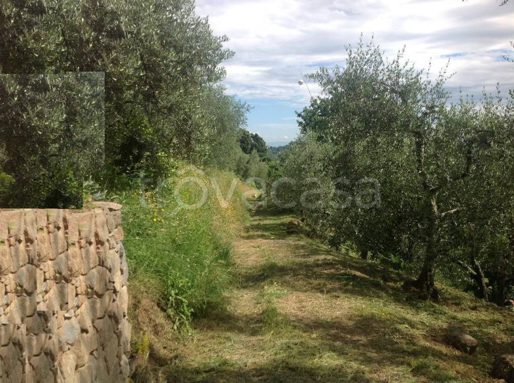 immagine annuncio 8 di 14