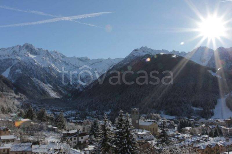 immagine annuncio 1 di 8