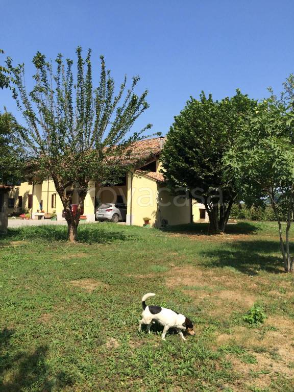 immagine annuncio 2 di 15
