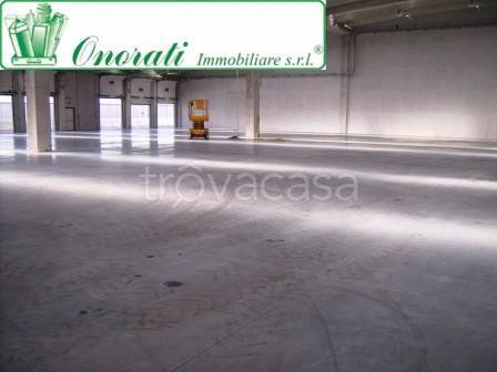 immagine annuncio 3 di 9