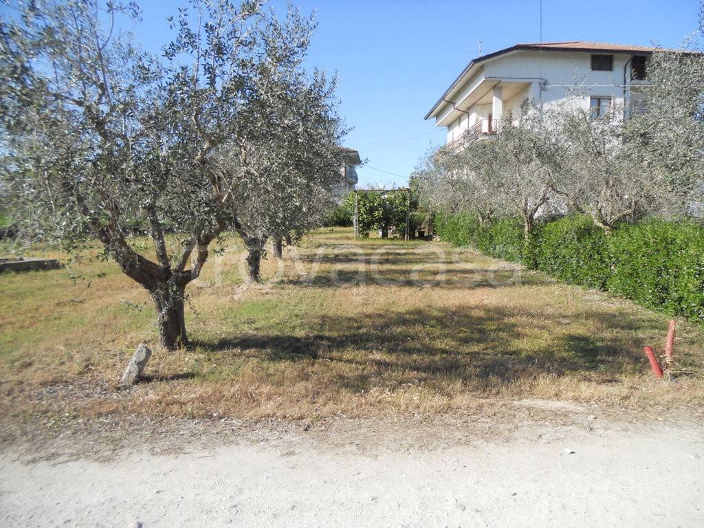 Appartamento in in vendita da privato a Sant'Omero via Metella Vecchia, 1