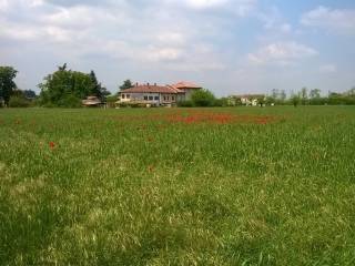 Cascina in in vendita da privato a novi ligure strada di cassano, 46