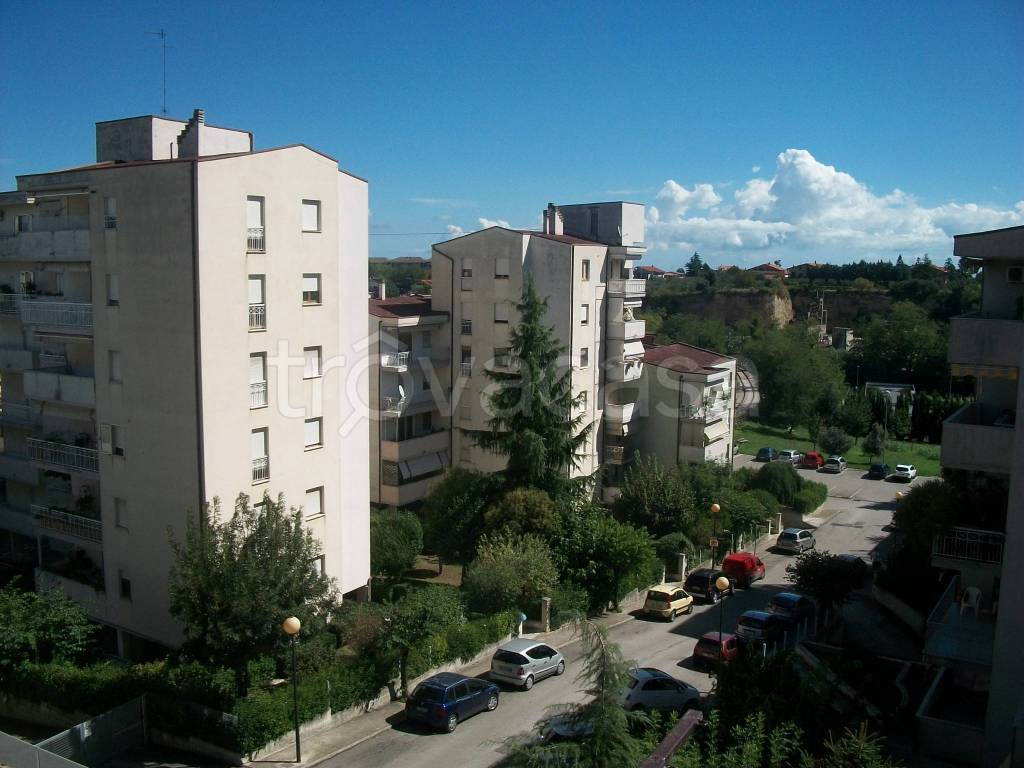 immagine annuncio 9 di 14