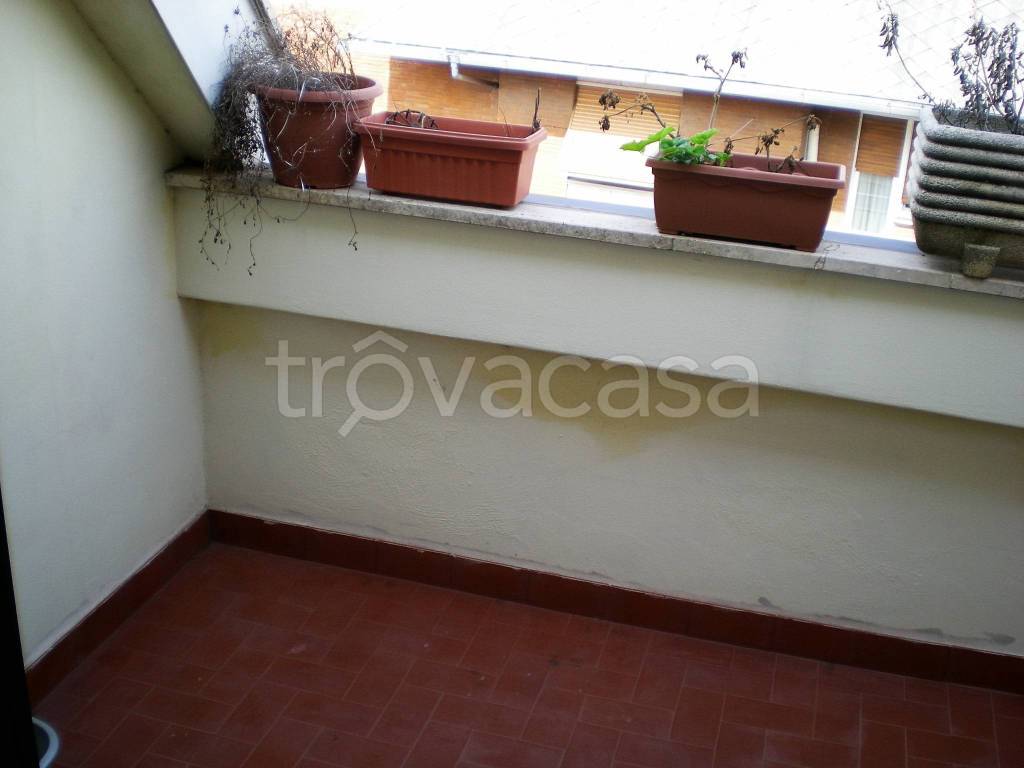 immagine annuncio 3 di 7