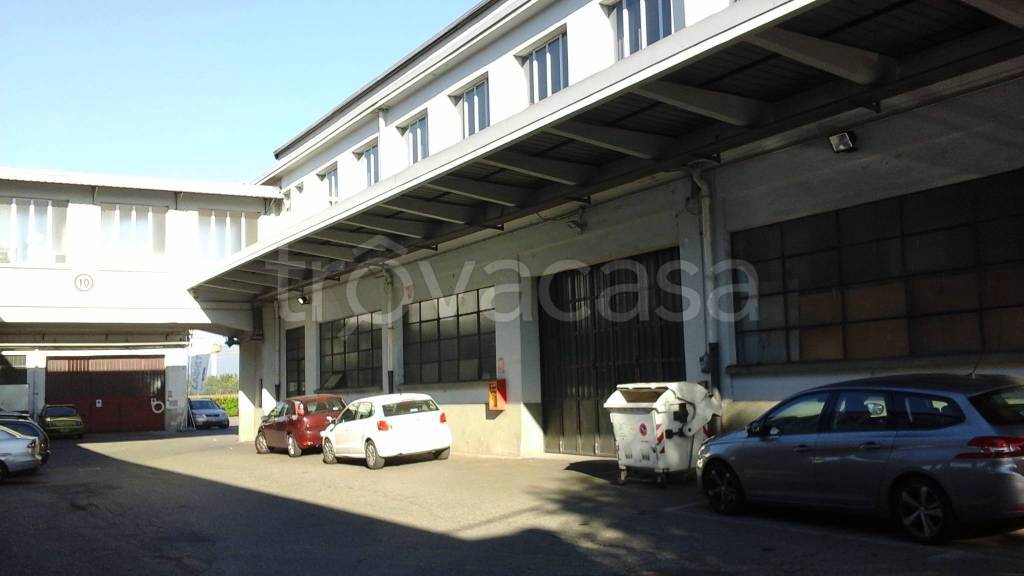 immagine annuncio 3 di 8