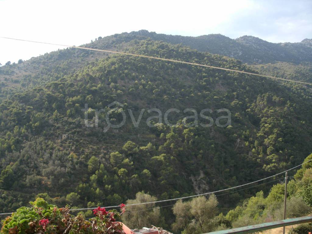 Terreno Residenziale in vendita a Ventimiglia via Alpe Summa, 1
