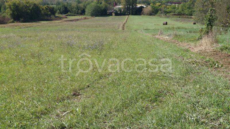 Terreno Agricolo in vendita a Caiazzo strada Provinciale 49, 47