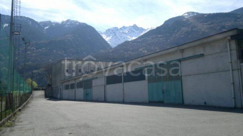 immagine annuncio 2 di 10