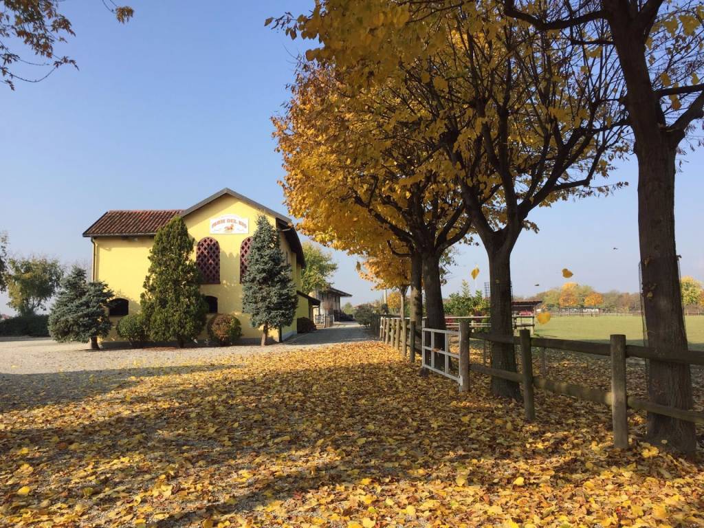 immagine annuncio 13 di 14