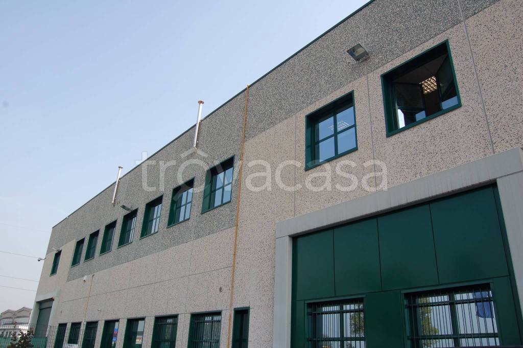 immagine annuncio 3 di 13