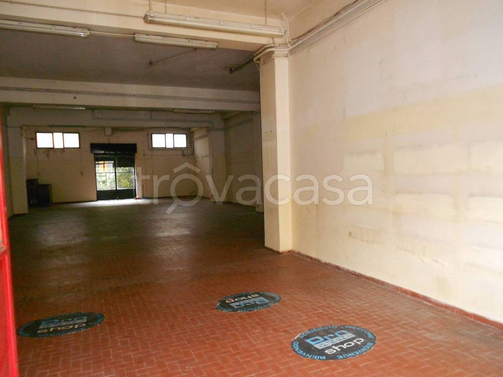 immagine annuncio 4 di 14