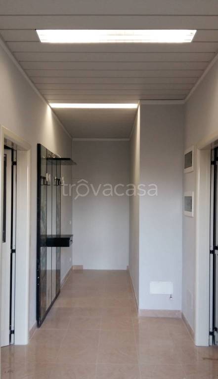 Ufficio in in affitto da privato a Bomporto via Fermo Corni, 16