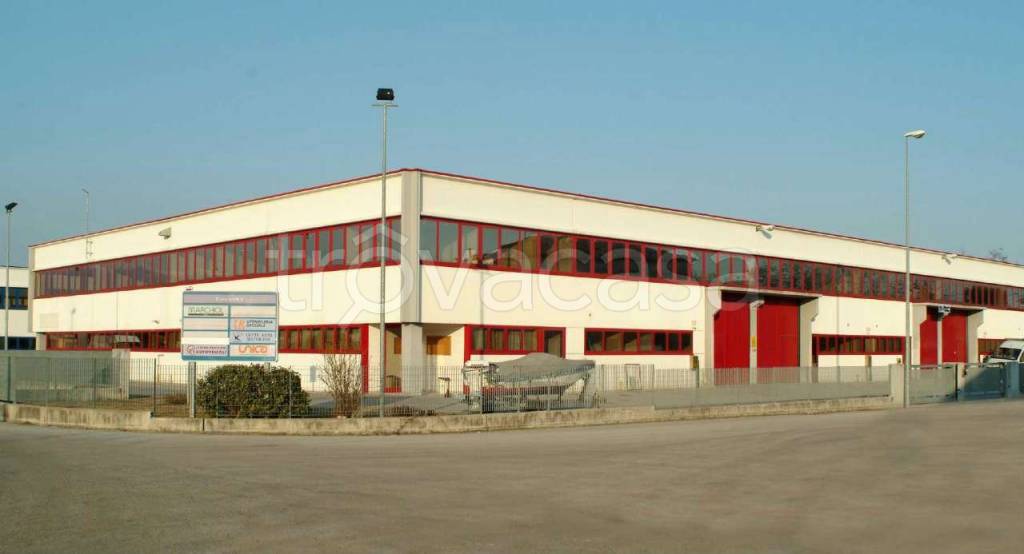 immagine annuncio 6 di 9
