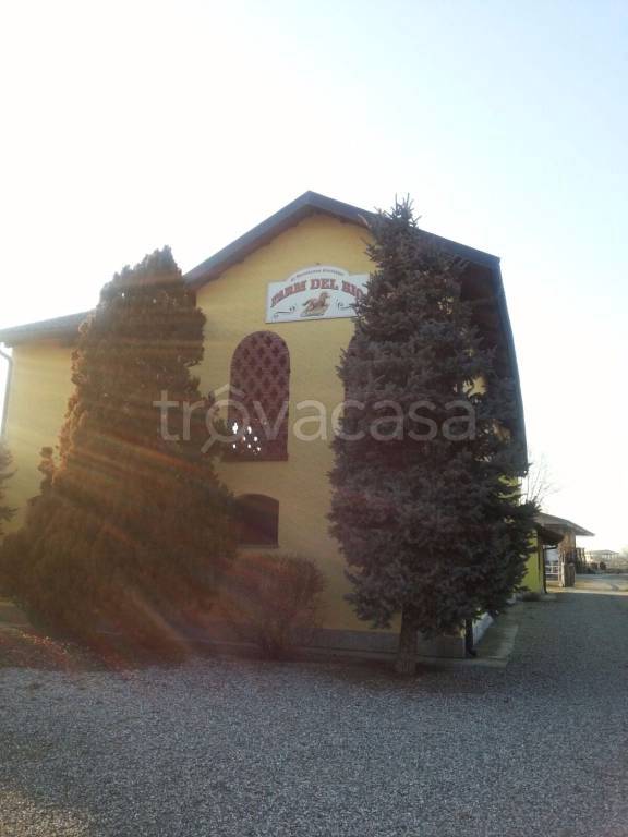 immagine annuncio 9 di 14