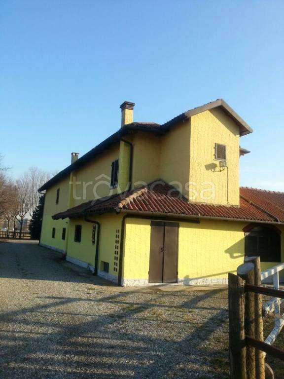 immagine annuncio 11 di 14