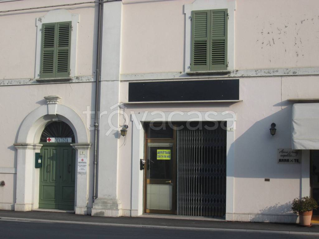 immagine annuncio 2 di 8