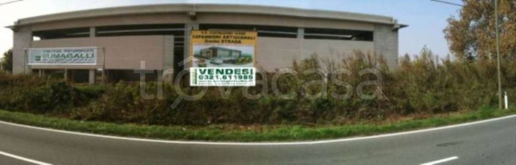 immagine annuncio 3 di 6